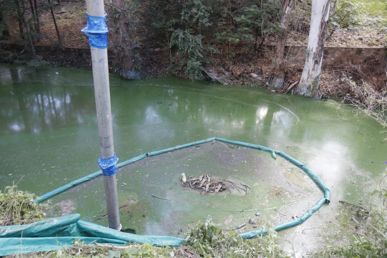 Programa de mitigación del lago San Roque.