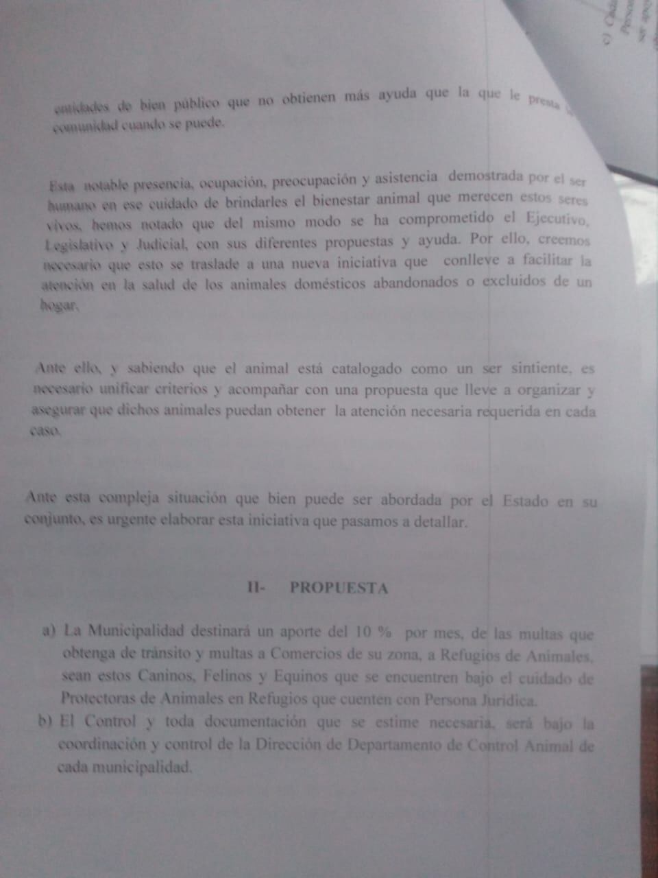 Godoy Cruz: presentaron un proyecto para que se destine una parte de lo recaudado a los refugios de animales