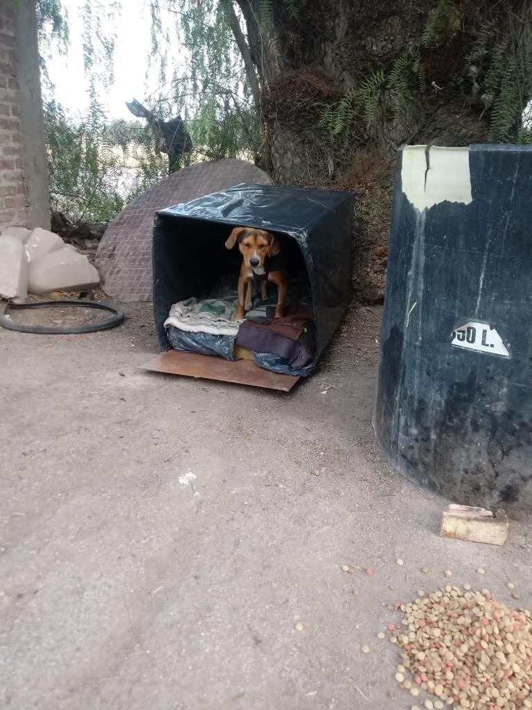 La agrupación utiliza todos materiales reciclables para la confección de sus casitas.