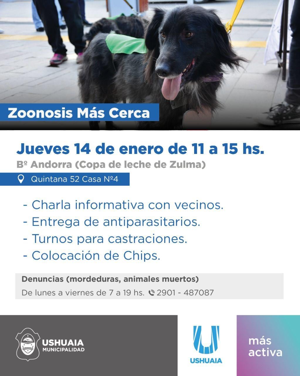 Zoonosis visitará el día 14 de enero el barrio Andorra con el Programa "Zoonosis más Cerca".