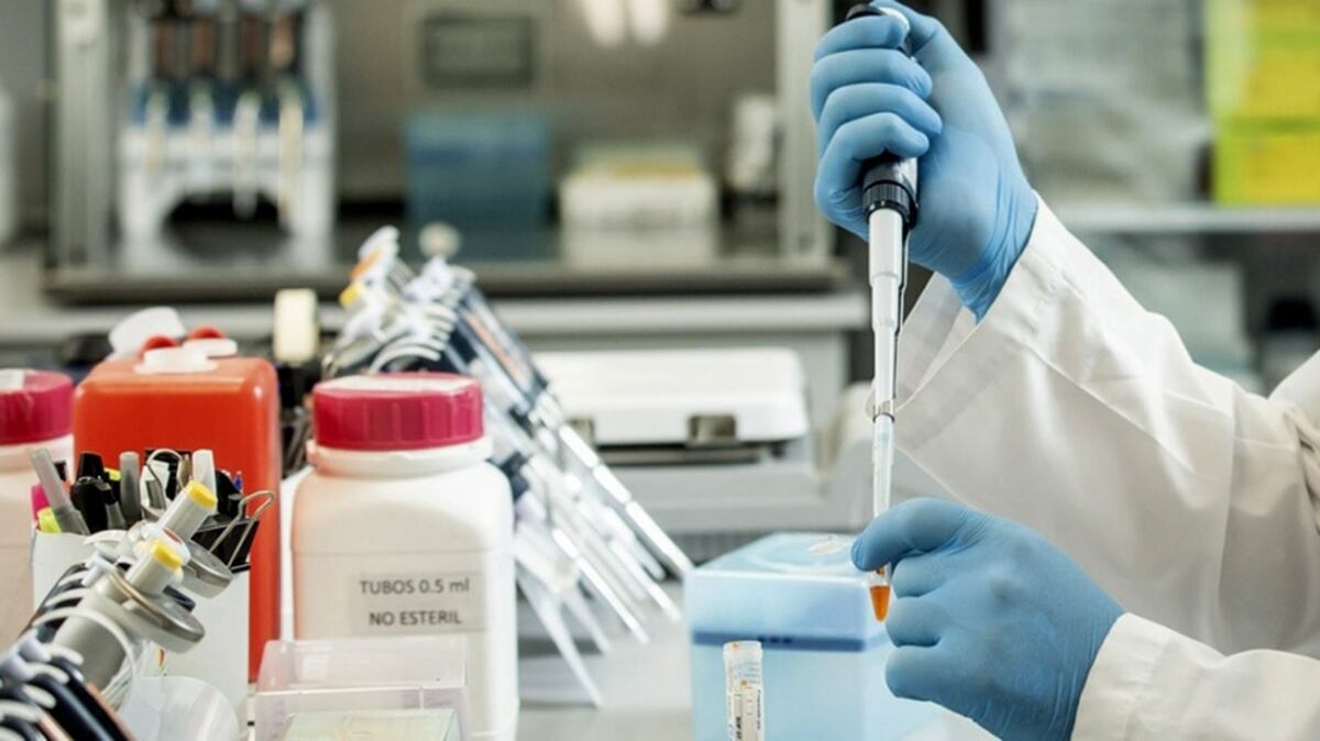 Covid-19: más de 300 pacientes ya fueron tratados con suero equino