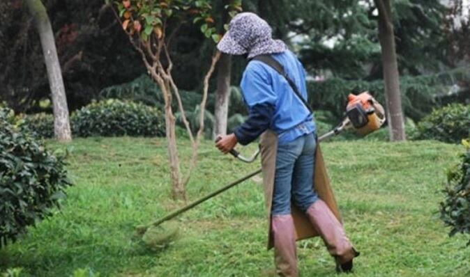 Insólito: amenazó de muerte a un cortador de pasto por “hacer ruido” a la siesta. Imagen ilustrativa.