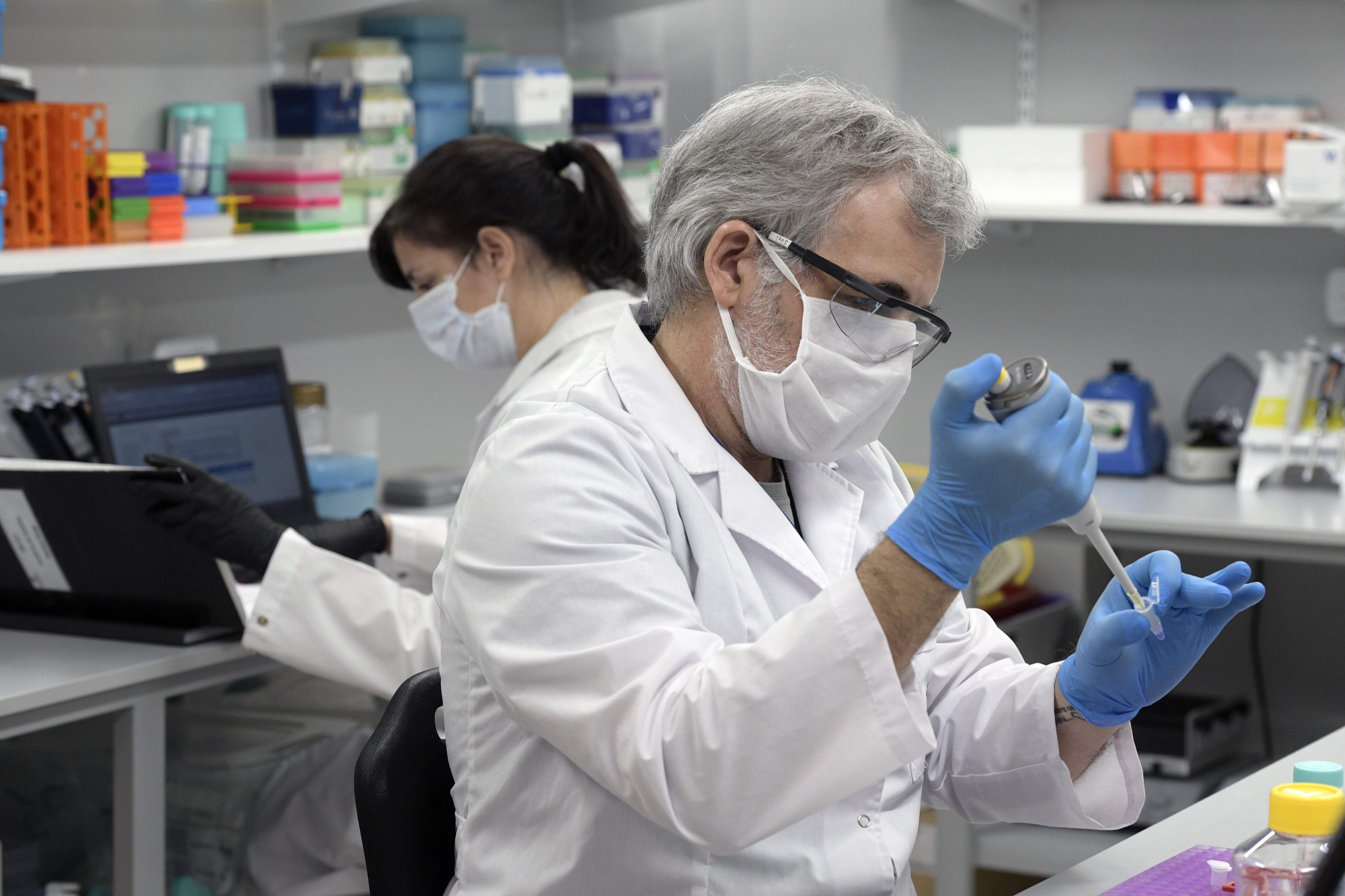 Suero equino y los resultados de su aplicación en Corrientes (Foto: JUAN MABROMATA / AFP).