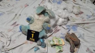 El peluche con drogas.