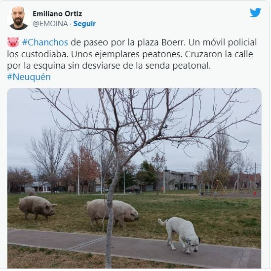 Quedó registrado en una postal que compartió un usuario de Twitter.