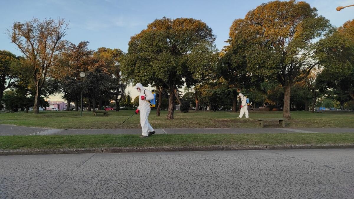 Tres Arroyos: cronograma de fumigación para los días martes y miércoles