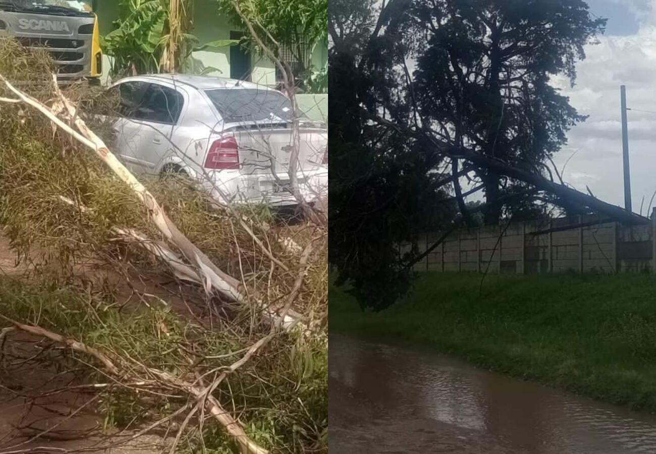 La tormenta provocó destrozos en el interior de Córdoba.