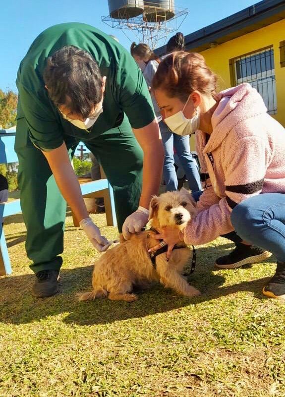 Se brindó atención sanitaria a 170 animales.