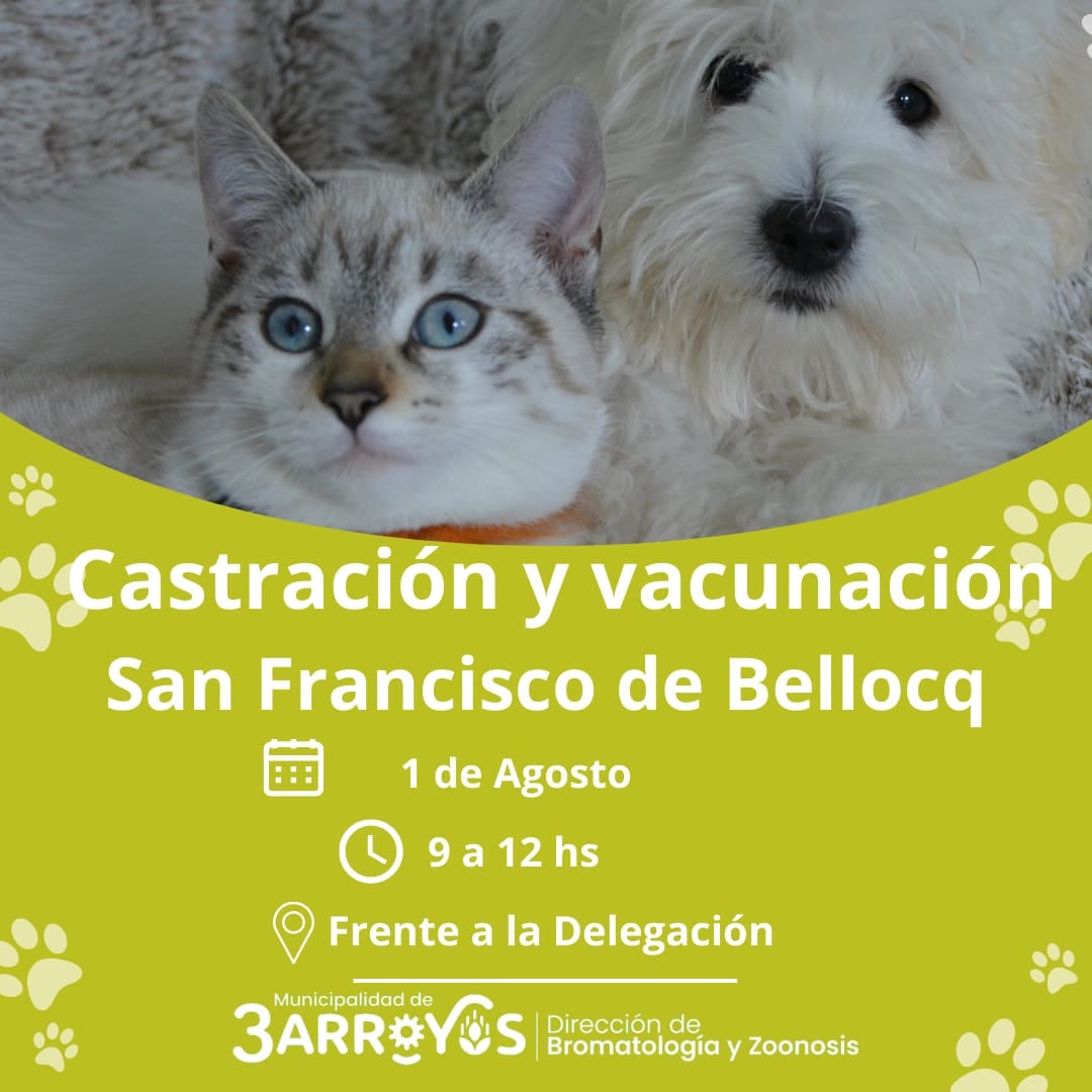 Castración y Vacunación de animales en Orense y San Francisco de Bellocq