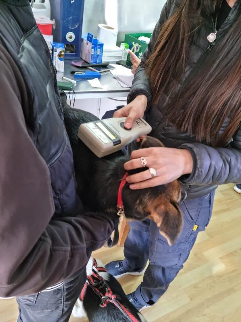 “Zoonosis Más Cerca” estará en el Paseo de Las Rosas