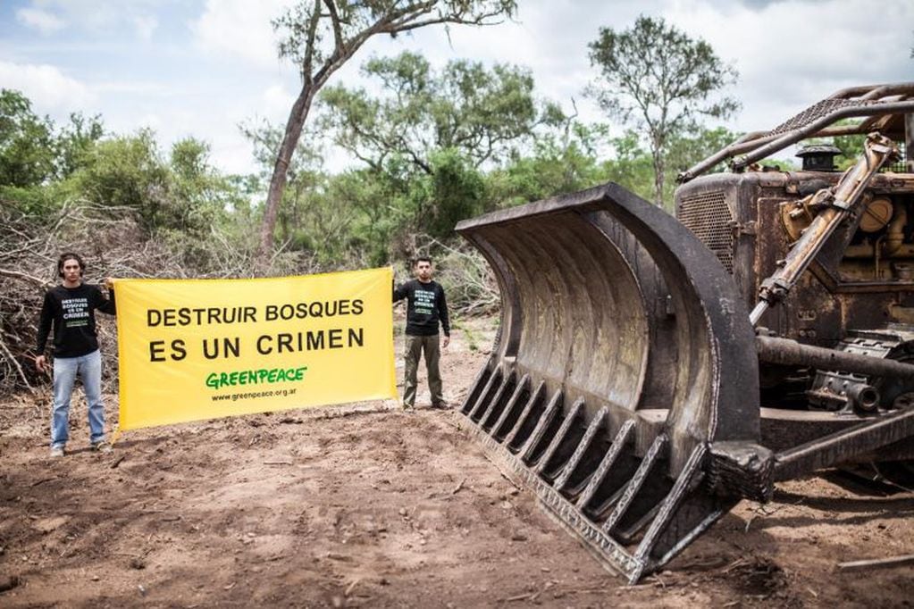 Greenpeace contra los desmontes