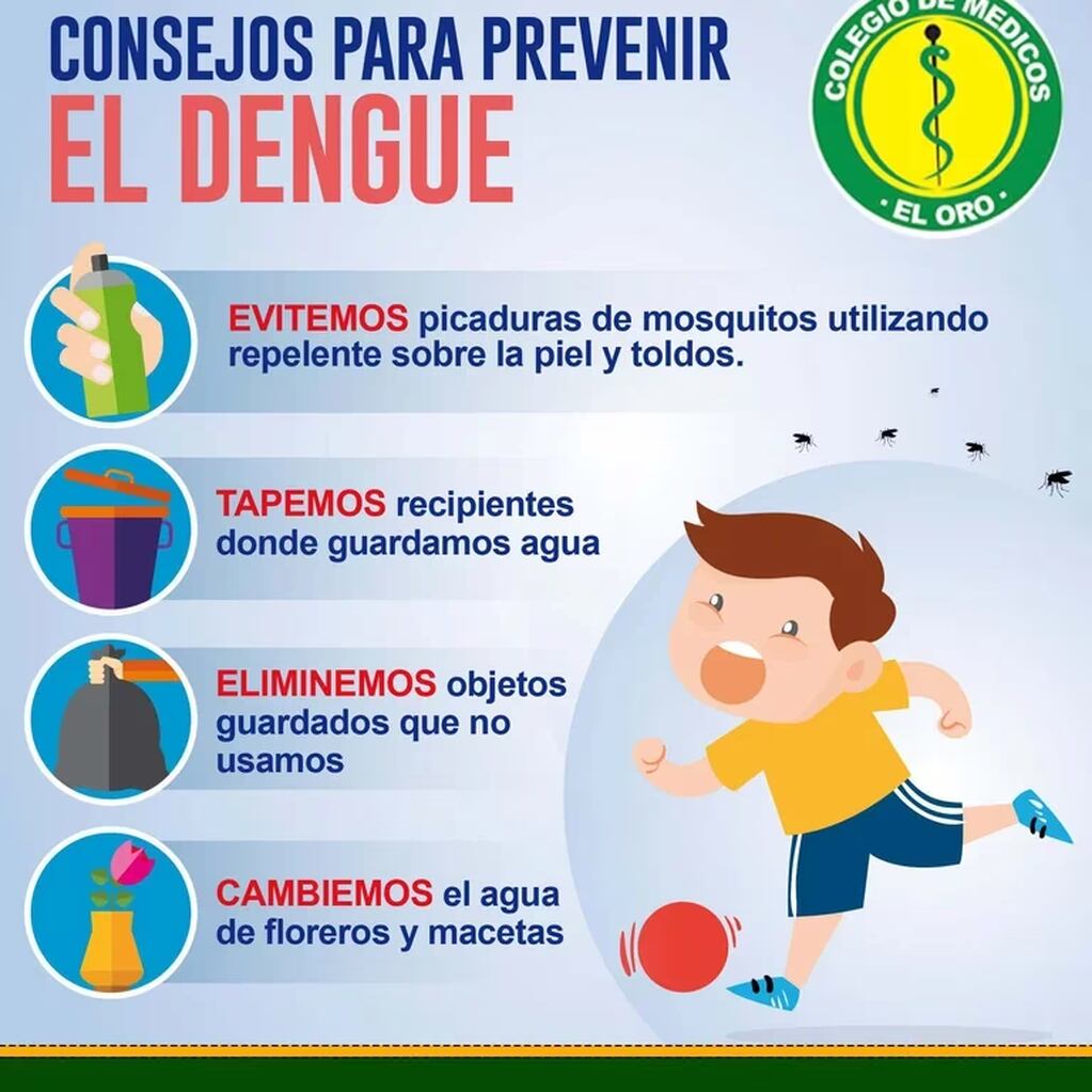 Todas estas acciones ayudan a prevenir el dengue. Gentileza: Infobae.