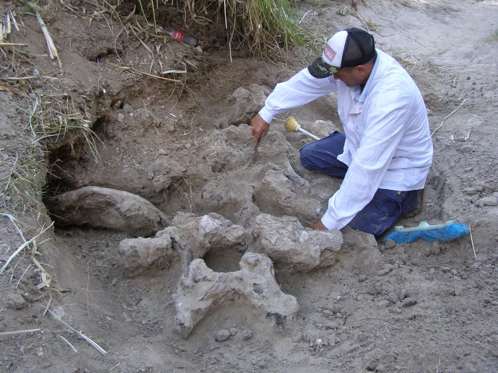 Hallazgo de fósiles en Entre Ríos