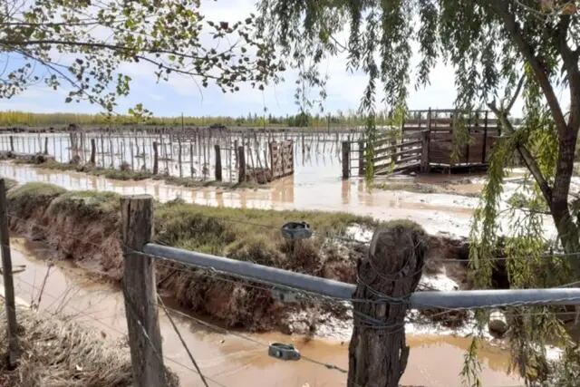 Inundación en San Rafael por la tormenta y pérdida de animales