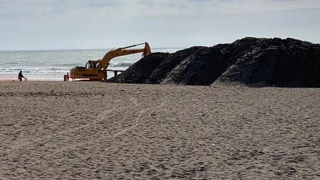 Comenzaron los trabajos de recuperación de superficie de arena en Playa Grande