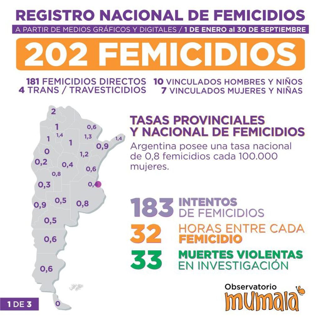 Mumalá presentó su registro nacional de femicidios. (Mumalá)