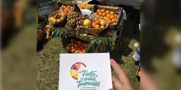 Este próximo fin de semana, Almafuerte festejará la Fiesta Provincial de las Frutas Tropicales