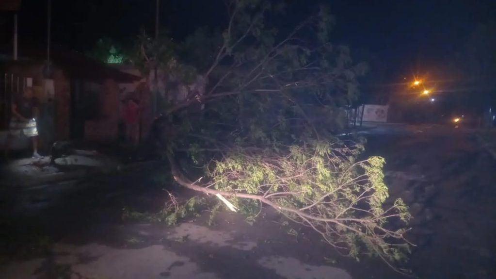 Destrozos causados por la tormenta en San Luis