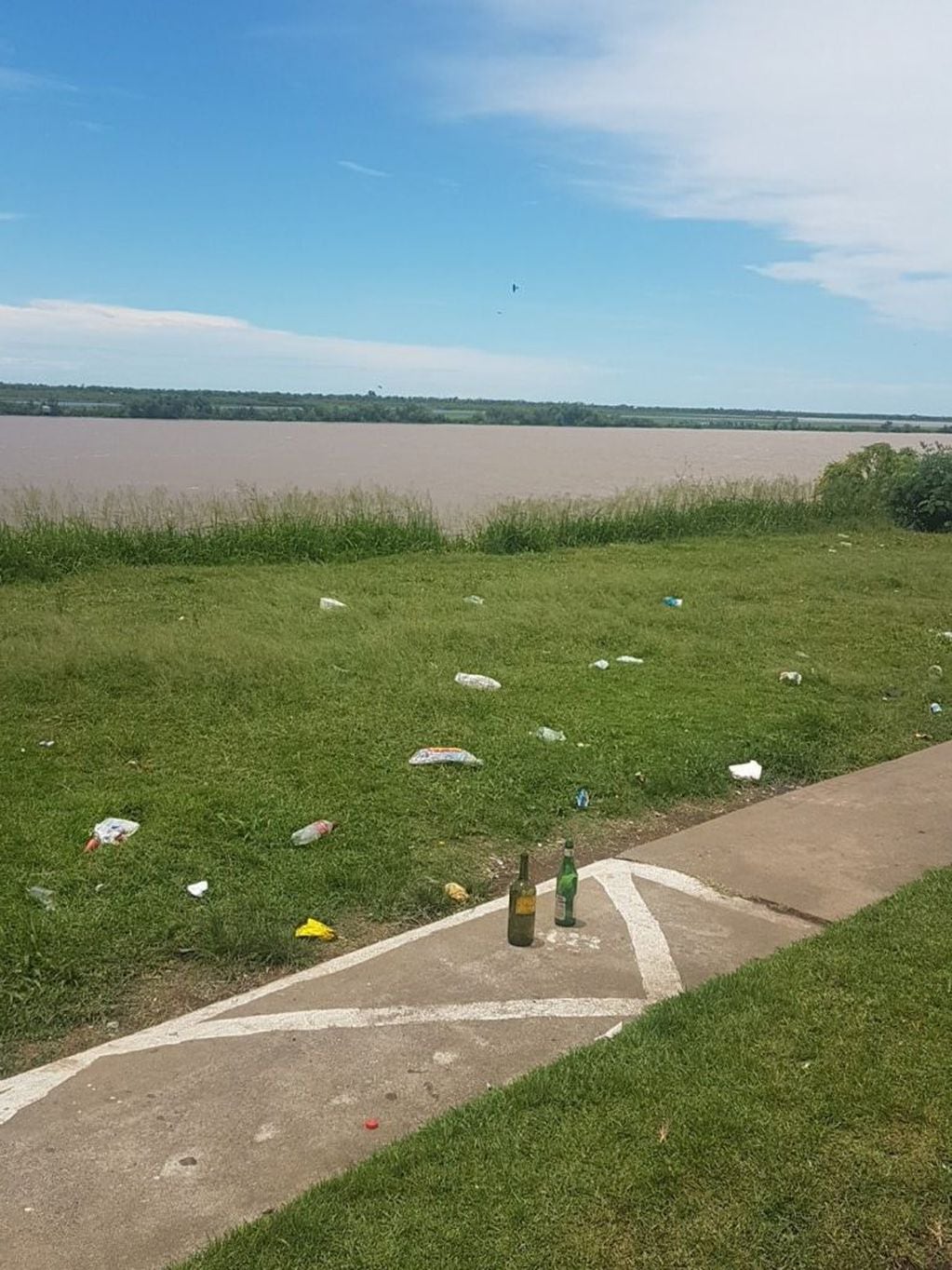 Los residuos llamaron la atención de quienes viven frente a la costanera central.