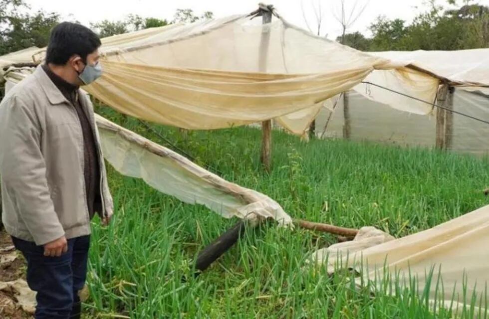 Gobernador Roca: entregan insumos a productores de damnificados por el temporal