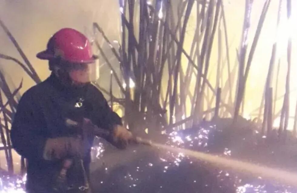 Hipólito Irigoyen: bomberos lograron sofocar un incendio comenzado en un aserradero.