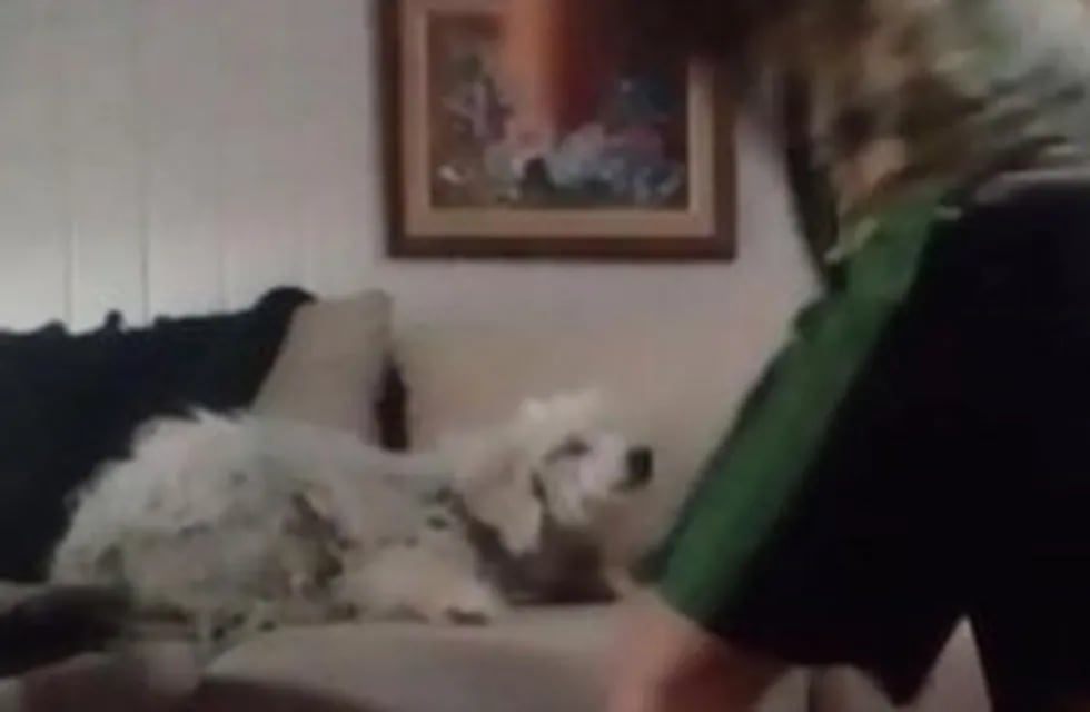 Captura de pantalla de uno de los videos en el que se puede ver al adolescente maltratando a su perro. Twitter @vivas_maris