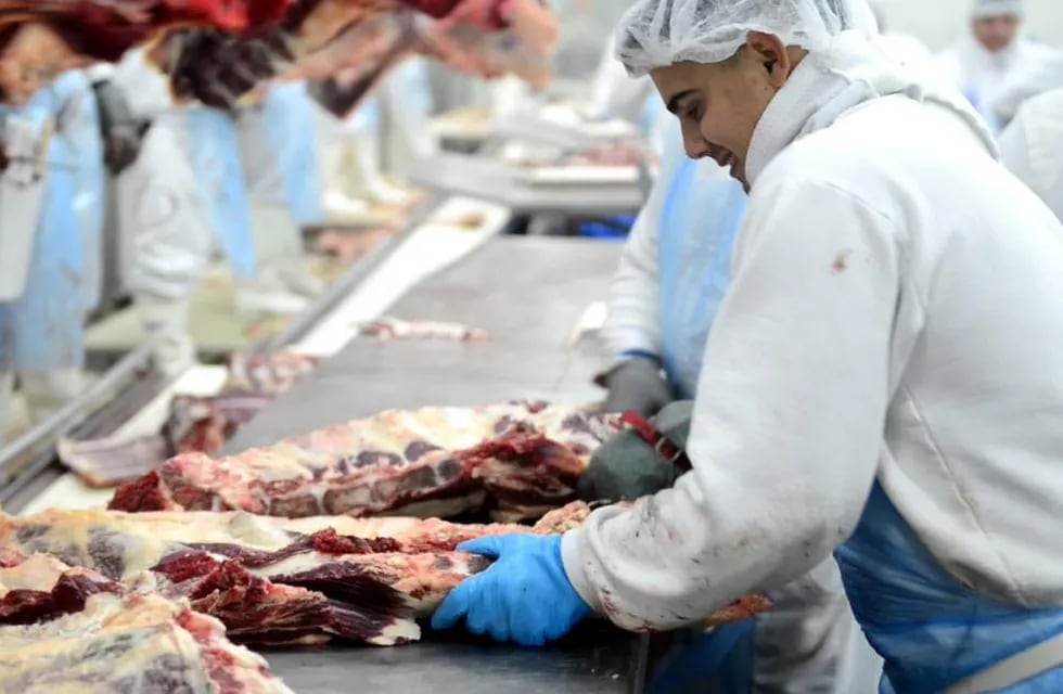 PERSPECTIVA. Las exportaciones de carne crecerían este año, a pesar de una caída en la competitividad. (La Voz/Archivo)
