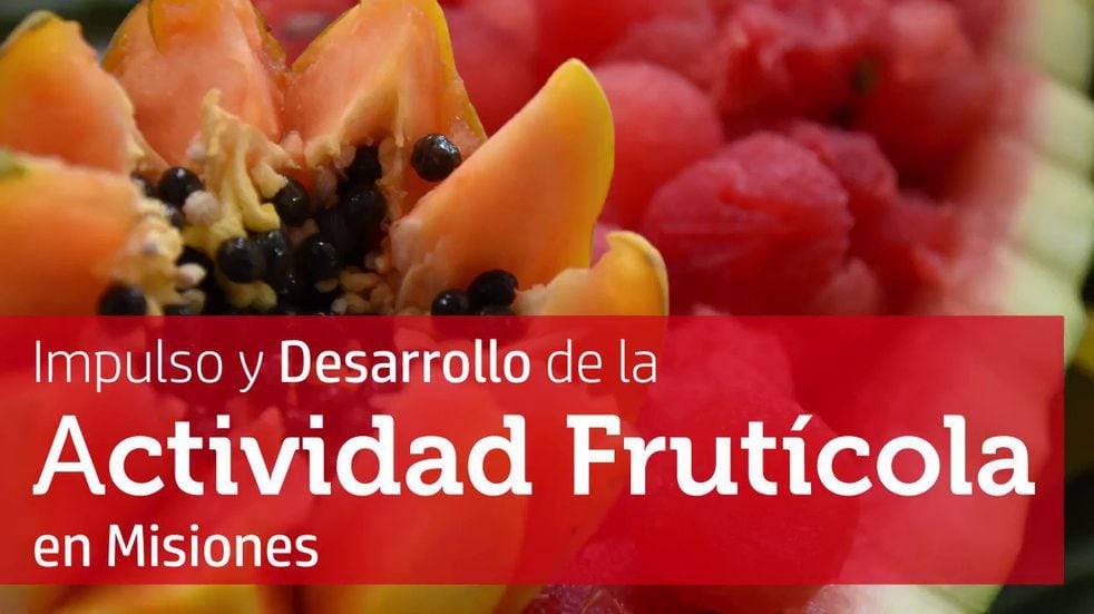 La provincia de Misiones apunta y consolida la industria frutícola.