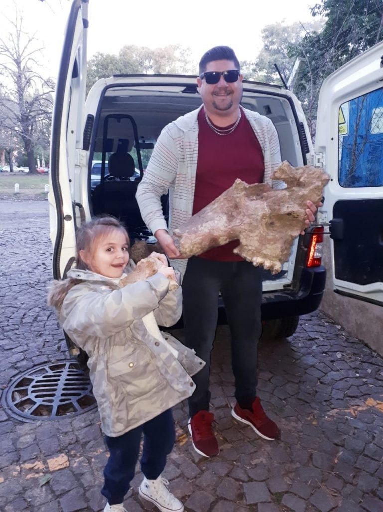 Insólito hallazgo en Berisso. Compró un camión con tierra y encontró un mastodonte adentro.