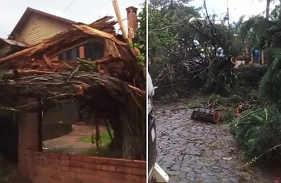 Bernardo de Irigoyen, San Pedro, Fracrán y San Vicente los municipios más afectados por el temporal.