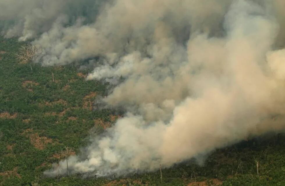 Este viernes 23 de agosto, vista aérea de varias columnas de humo en la selva amazónica de Porto Velho, Rondonia (Brasil). (Misiones Online)