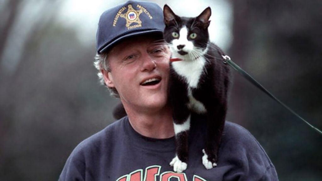 Socks, el gato de la hija de Bill Clinton