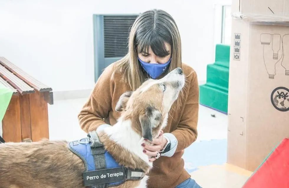Se llevó adelante una jornada de terapia asistida con perros