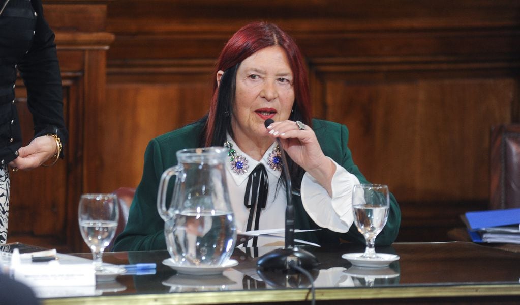 La jueza de casación penal Ana María Figueroa en el Senado. Foto: Federico Lopez Claro.