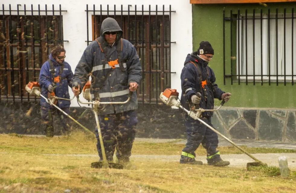 Ushuaia: realizan limpieza  y recolección de residuos voluminosos en distintos barrios