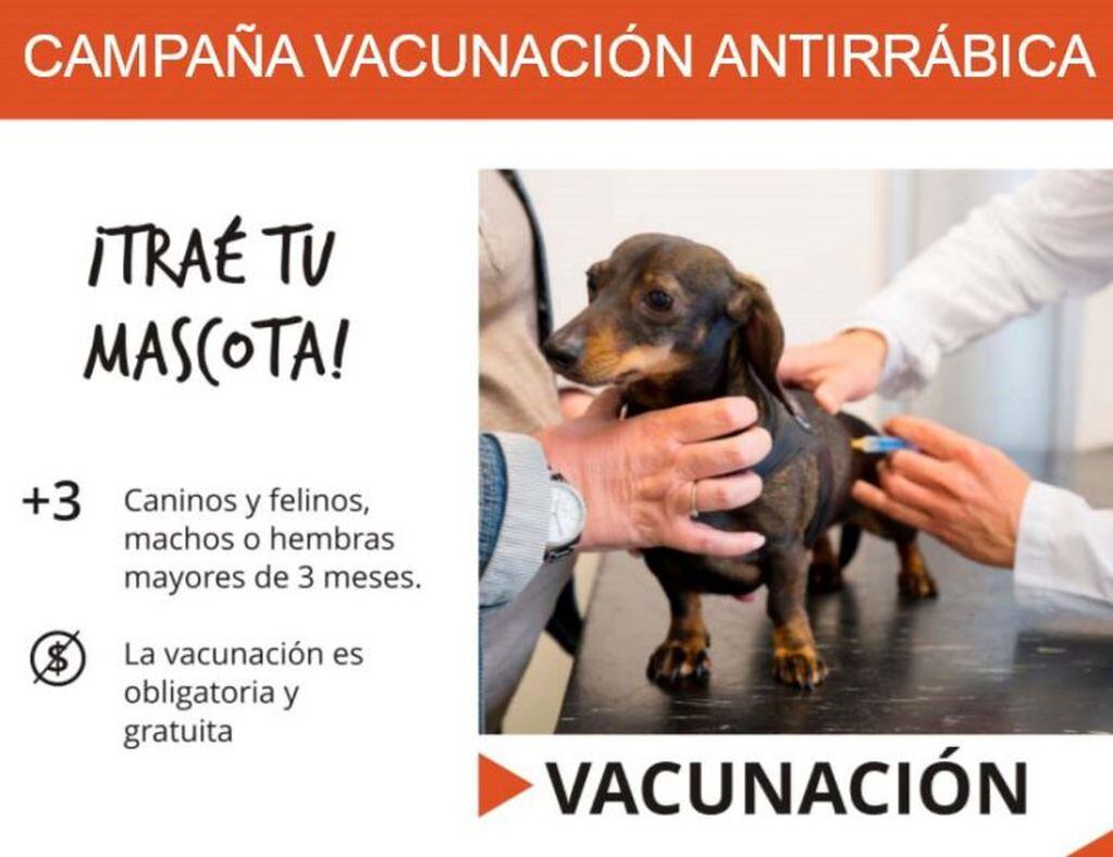 Campaña lanzada para vacunar mascotas contra la rabia.