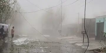 Fuerte tormenta de viento, lluvia y granizo provocó daños y anegamientos  en el Gran Mendoza