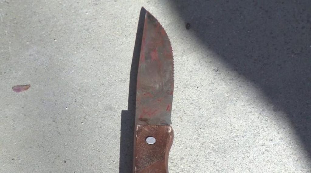 El cuchillo con el que la mujer cometió el crimen (Foto: Policía de la Ciudad)