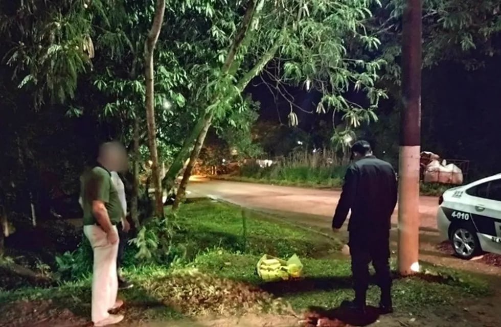 Efectivos policiales hallaron marihuana en un espacio verde de Eldorado.