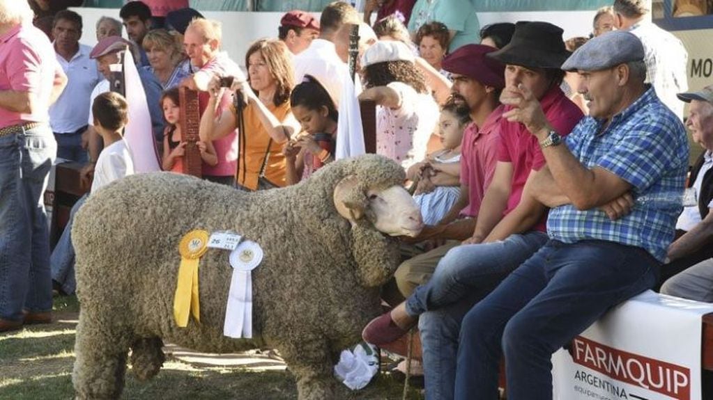 Además, es la 39° Feria del carnero a campo.