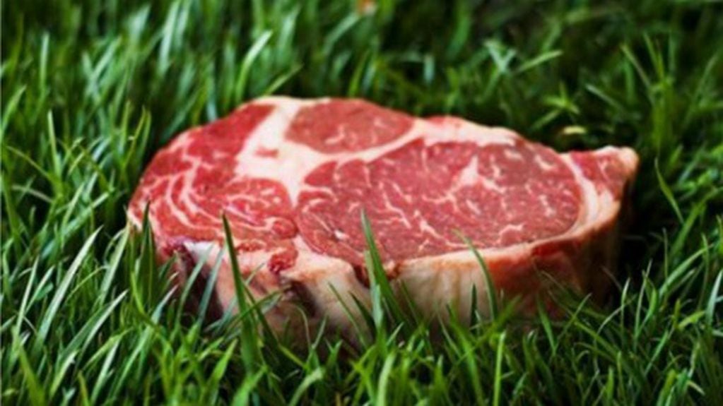 Carne sustentable, orgánica