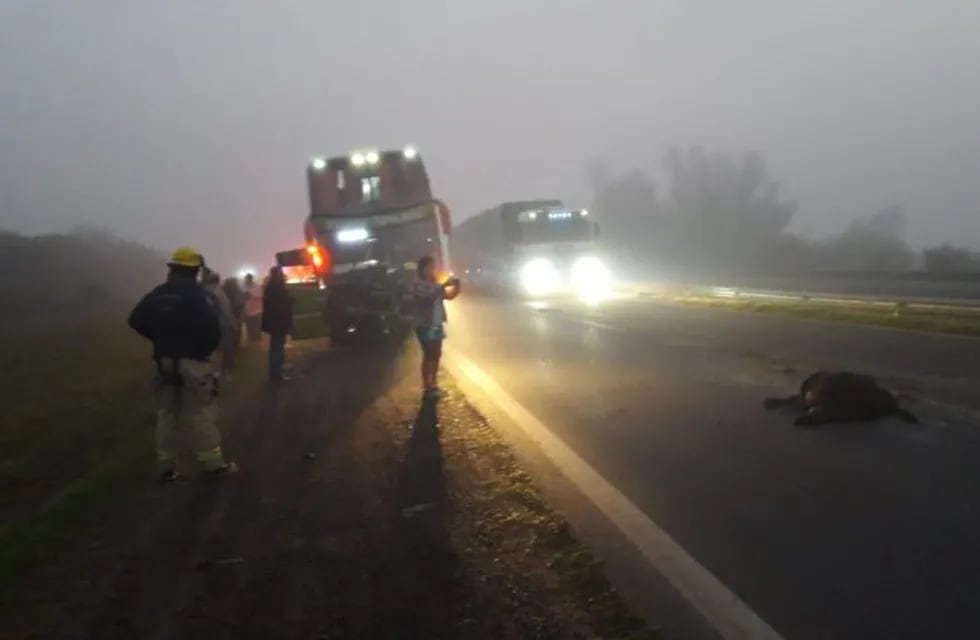 choque colectivo \nCrédito: Bomberos Ceibas