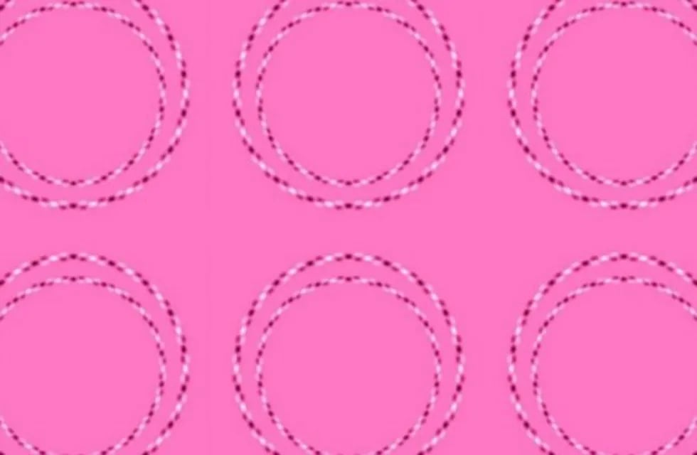 Los círculos rosas, la ilusión óptica que vuelve locos a todos en las redes.