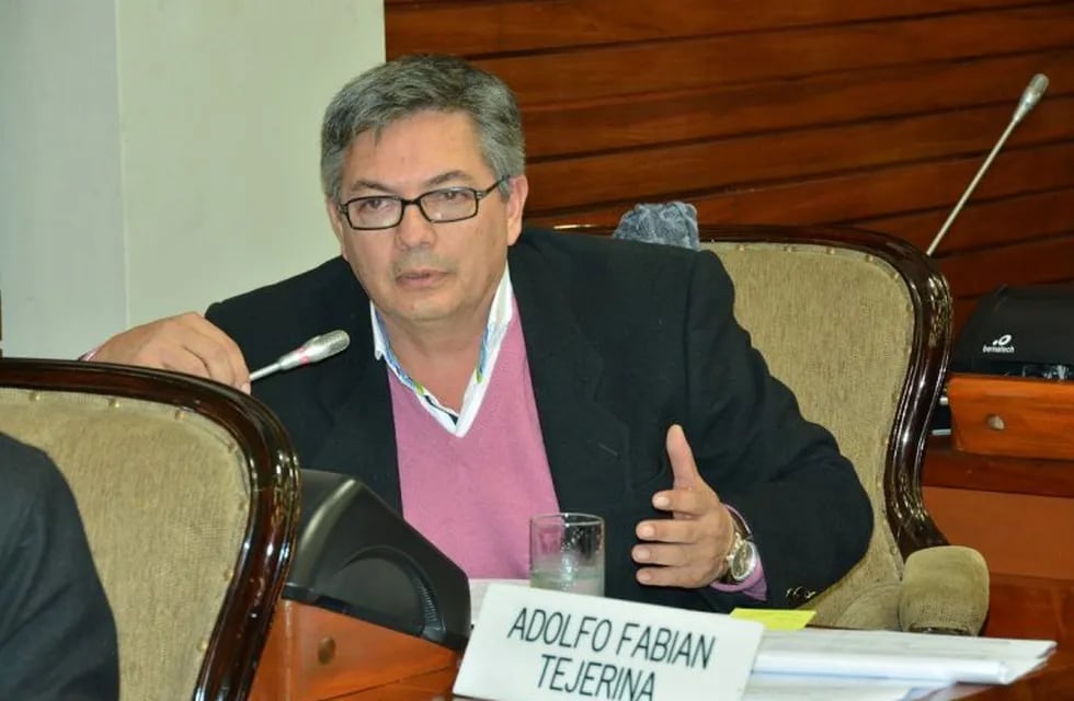 Diputado Fabián Tejerina