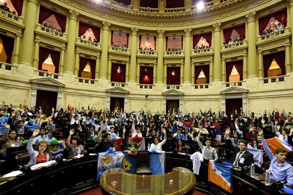 Jóvenes fueguinos integrantes del Parlamento Juvenil del Mercosur en el Congreso Nacional