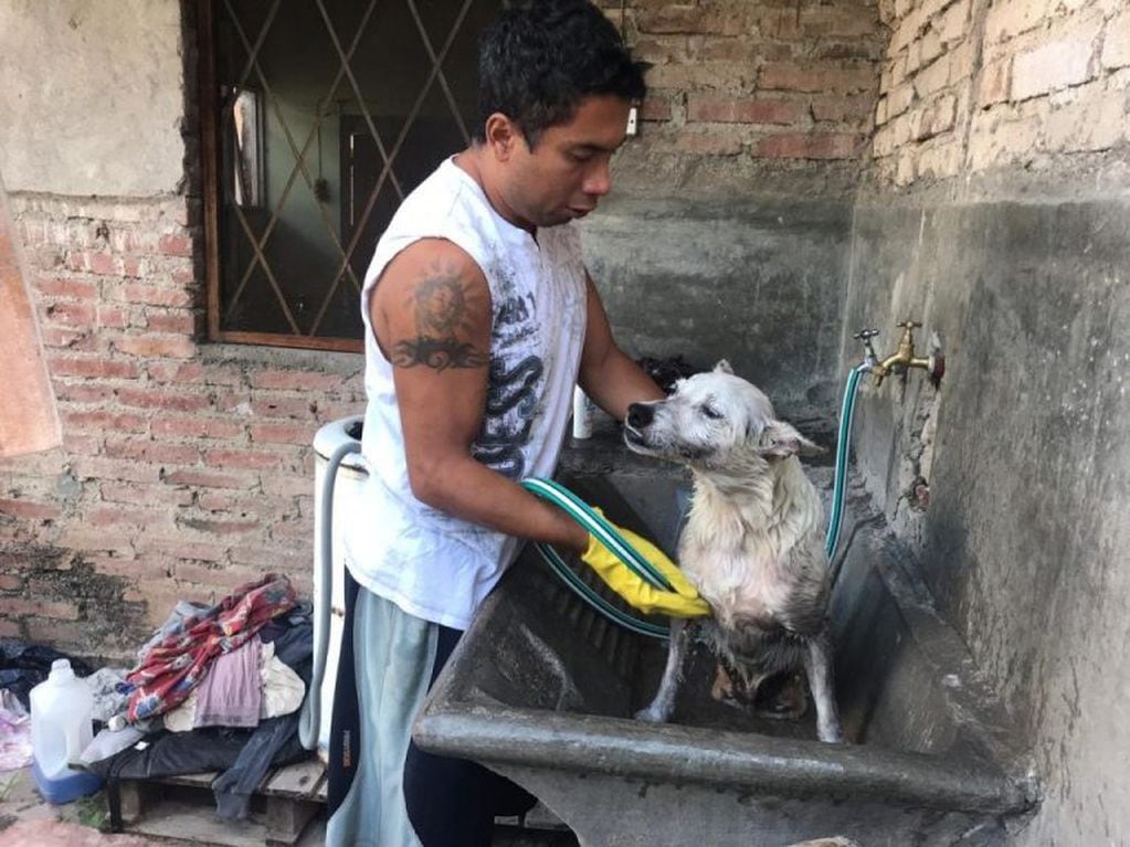 Cristian rescata perros discapacitados y los lleva a su casa para cuidarlos