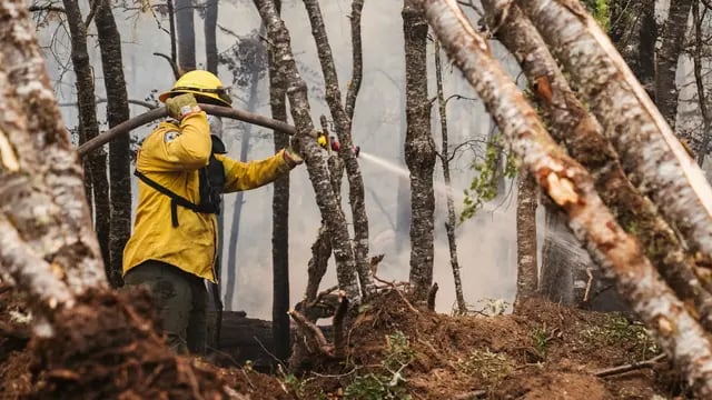 Incendio en Tierra del Fuego
