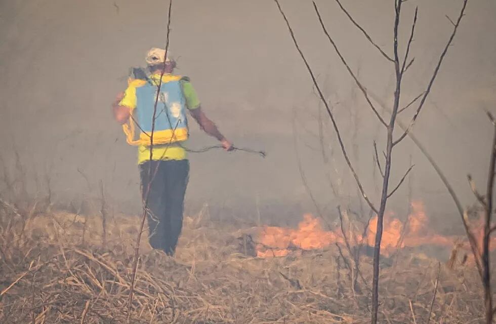 Incendios en las islas del Delta de Paraná no se terminan (@multisectorialhumedales).