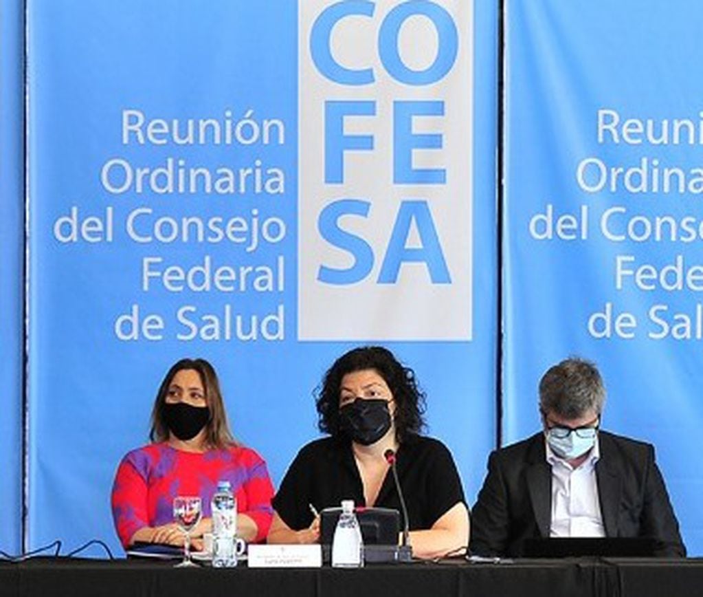 Carla Vizzotti habla en la reunión del COFESA en San Luis.