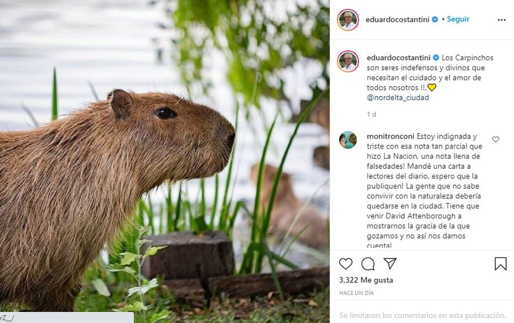 El creador de Nordelta se pronunció a favor de los carpinchos en Instagram.
